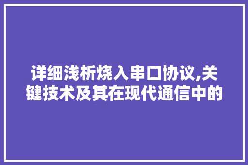 详细浅析烧入串口协议,关键技术及其在现代通信中的应用