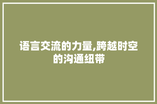 语言交流的力量,跨越时空的沟通纽带