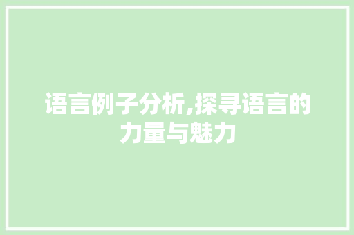 语言例子分析,探寻语言的力量与魅力