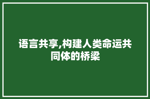 语言共享,构建人类命运共同体的桥梁