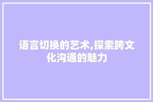 语言切换的艺术,探索跨文化沟通的魅力 头条优化
