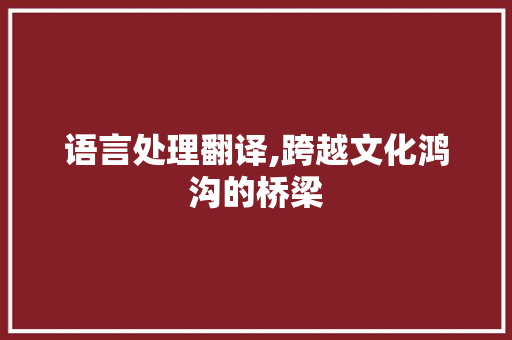 语言处理翻译,跨越文化鸿沟的桥梁