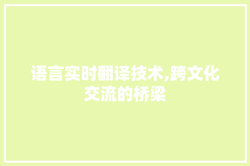 语言实时翻译技术,跨文化交流的桥梁