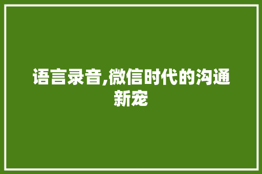 语言录音,微信时代的沟通新宠 小程序开发