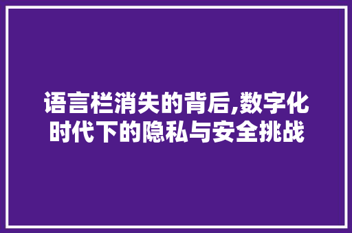 语言栏消失的背后,数字化时代下的隐私与安全挑战 搜狗优化