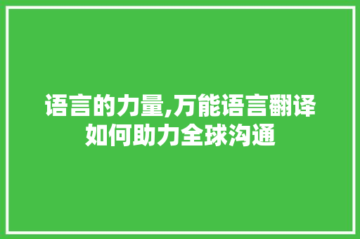 语言的力量,万能语言翻译如何助力全球沟通
