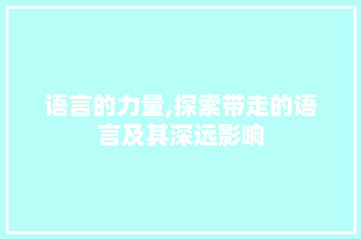 语言的力量,探索带走的语言及其深远影响 百度算法