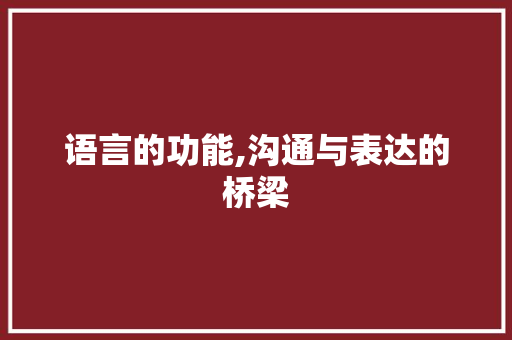 语言的功能,沟通与表达的桥梁 网站优化