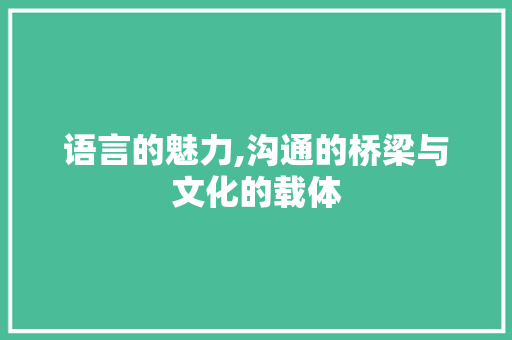 语言的魅力,沟通的桥梁与文化的载体