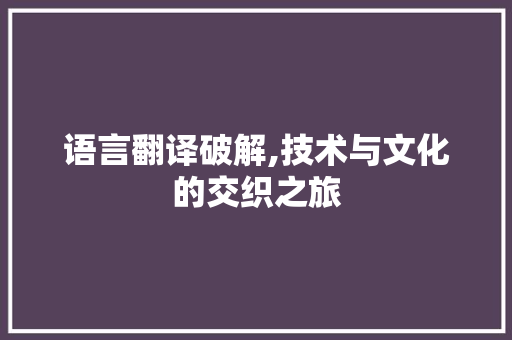 语言翻译破解,技术与文化的交织之旅