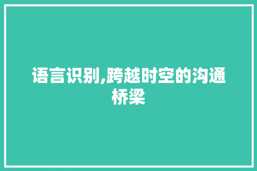 语言识别,跨越时空的沟通桥梁