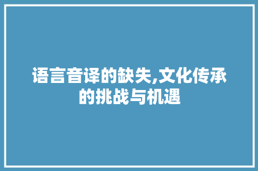 语言音译的缺失,文化传承的挑战与机遇