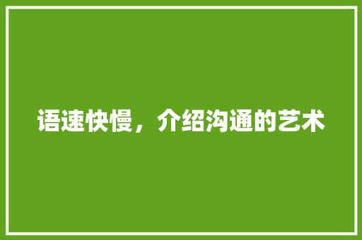 语速快慢，介绍沟通的艺术 英文谷歌算法