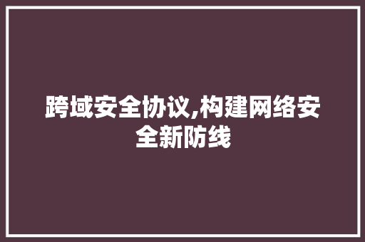 跨域安全协议,构建网络安全新防线