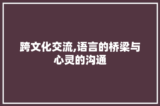 跨文化交流,语言的桥梁与心灵的沟通