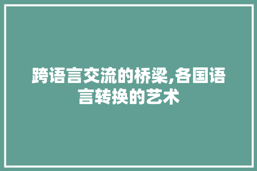 跨语言交流的桥梁,各国语言转换的艺术