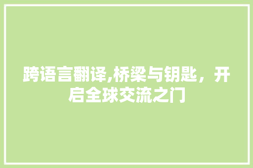 跨语言翻译,桥梁与钥匙，开启全球交流之门