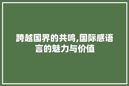 跨越国界的共鸣,国际感语言的魅力与价值