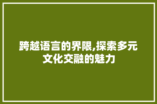 跨越语言的界限,探索多元文化交融的魅力 小程序开发