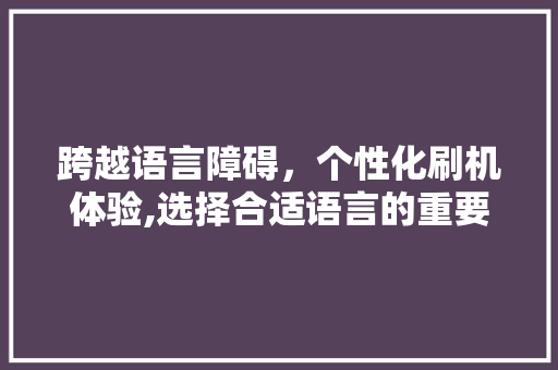 跨越语言障碍，个性化刷机体验,选择合适语言的重要性
