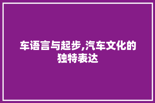 车语言与起步,汽车文化的独特表达