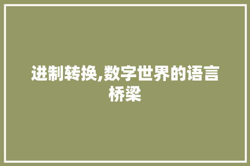 进制转换,数字世界的语言桥梁 网站优化