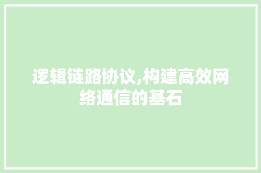 逻辑链路协议,构建高效网络通信的基石