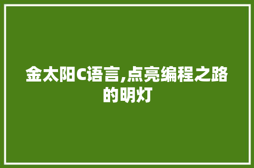 金太阳C语言,点亮编程之路的明灯