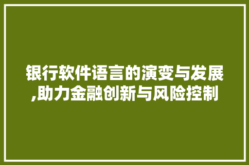银行软件语言的演变与发展,助力金融创新与风险控制