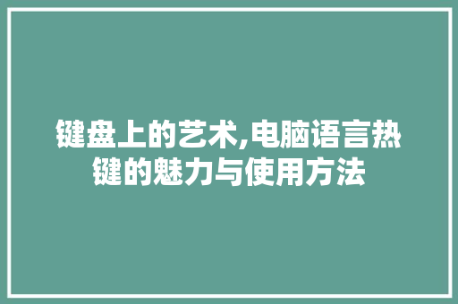 键盘上的艺术,电脑语言热键的魅力与使用方法