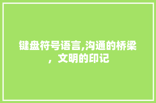 键盘符号语言,沟通的桥梁，文明的印记