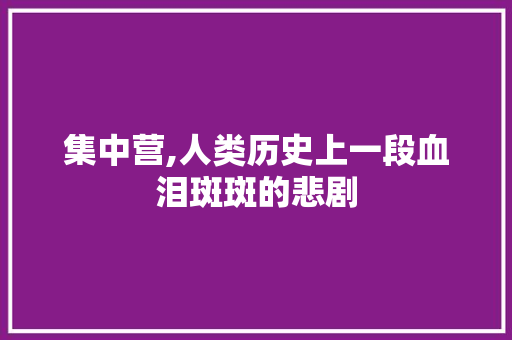 集中营,人类历史上一段血泪斑斑的悲剧