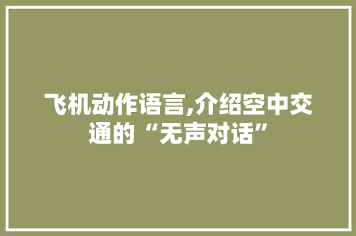 飞机动作语言,介绍空中交通的“无声对话”