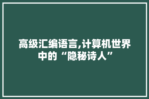高级汇编语言,计算机世界中的“隐秘诗人” 搜狗优化