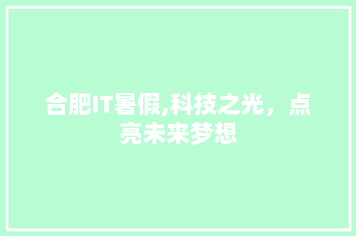 合肥IT暑假,科技之光，点亮未来梦想