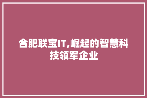合肥联宝IT,崛起的智慧科技领军企业 网站开发