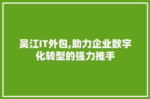 吴江IT外包,助力企业数字化转型的强力推手 网站优化