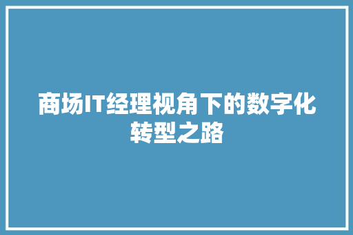 商场IT经理视角下的数字化转型之路 seo技术