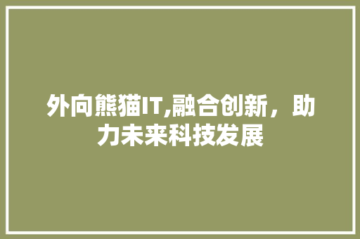 外向熊猫IT,融合创新，助力未来科技发展 AI技术学习