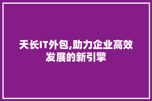 天长IT外包,助力企业高效发展的新引擎 seo技术