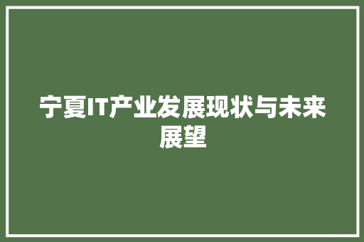 宁夏IT产业发展现状与未来展望 seo技术