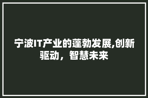 宁波IT产业的蓬勃发展,创新驱动，智慧未来