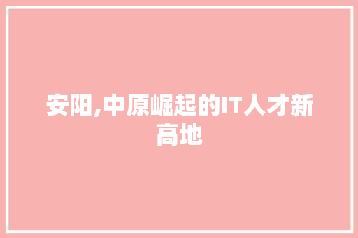 安阳,中原崛起的IT人才新高地