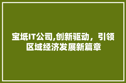 宝坻IT公司,创新驱动，引领区域经济发展新篇章