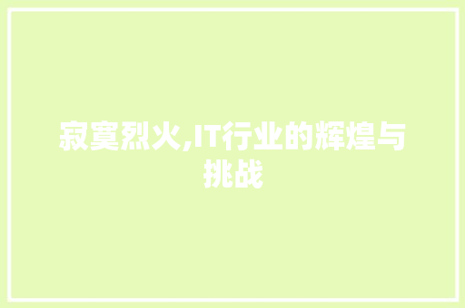寂寞烈火,IT行业的辉煌与挑战 网站优化
