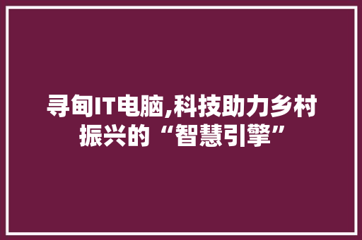 寻甸IT电脑,科技助力乡村振兴的“智慧引擎” AI技术学习