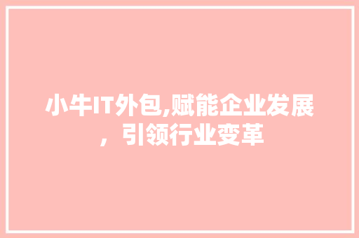 小牛IT外包,赋能企业发展，引领行业变革 头条优化