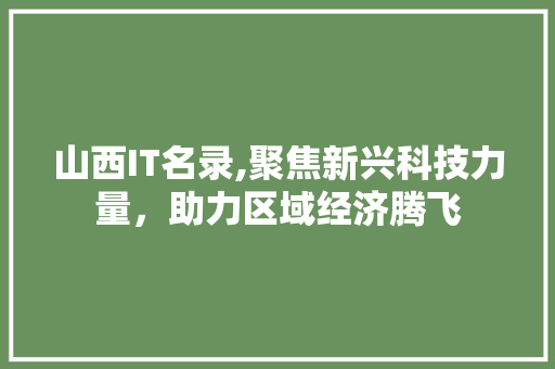 山西IT名录,聚焦新兴科技力量，助力区域经济腾飞 头条优化