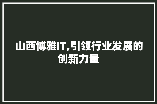 山西博雅IT,引领行业发展的创新力量 网站开发