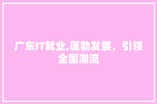 广东IT就业,蓬勃发展，引领全国潮流